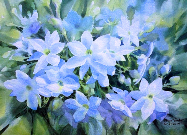 �������� ����������� : ������ ��������