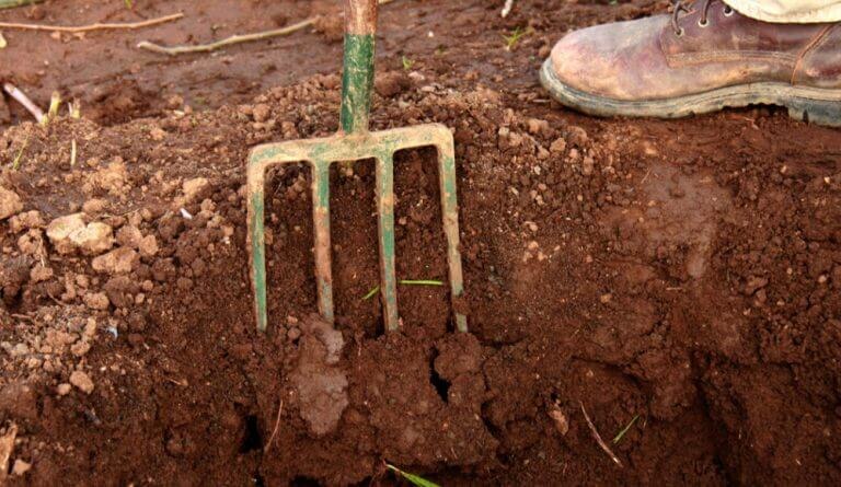 Рыжеватый цвет почвы с приличным количеством глины обычно бросается в глаза