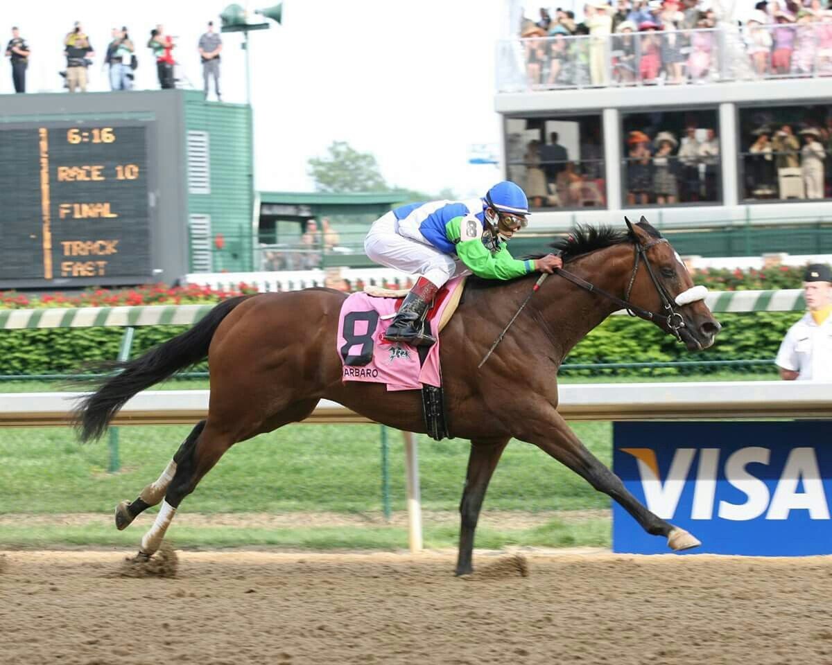 Изображение взято с сайта https://i.pinimg.com/originals/50/70/80/507080abcf95d27ca7bfd143413ad159.jpg