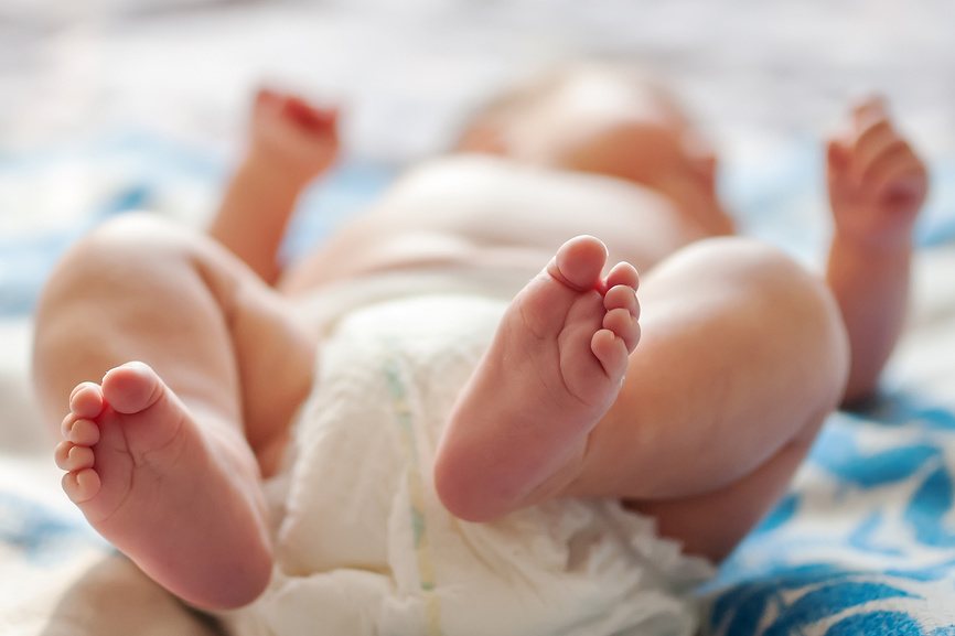 Фотобанк Лори