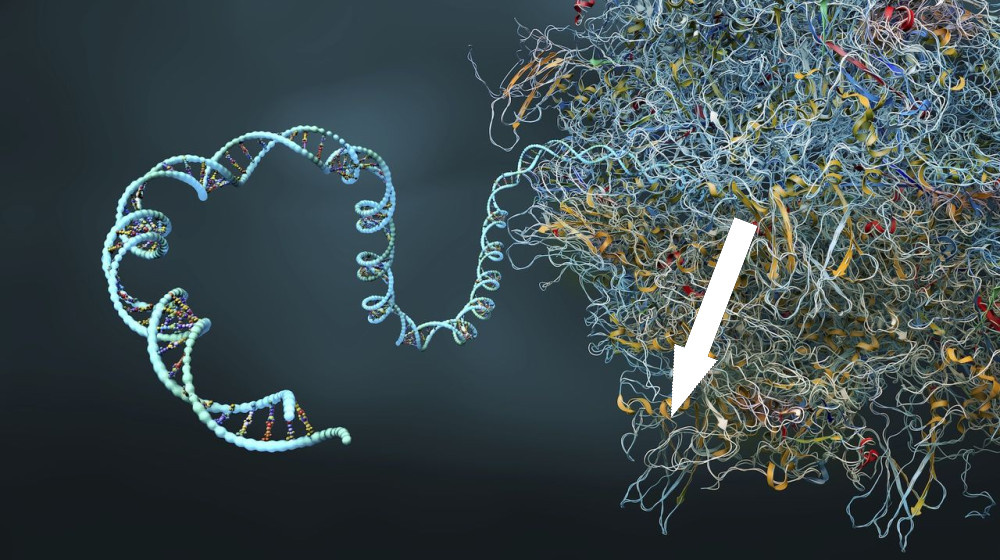    Квантовая революция в медицине: как IBM и Moderna создали самую длинную мРНК-модель без ИИ