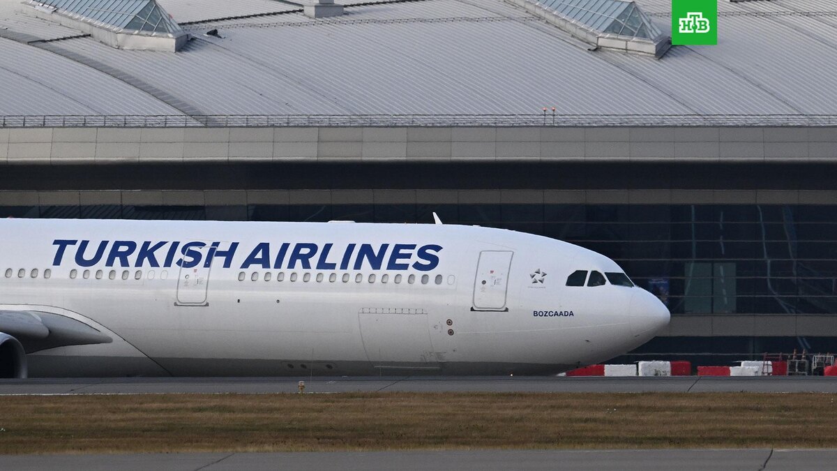    Фото: РИА Новости © 2025, Алексей Майшев