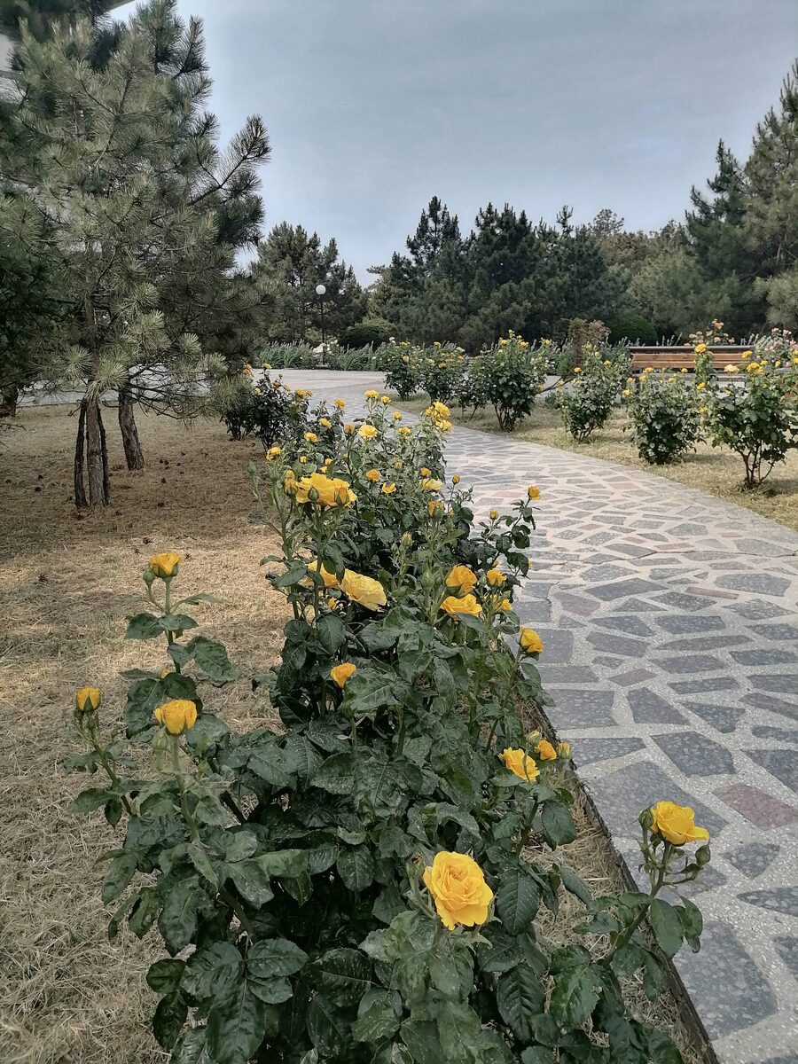 На территории совсем малолюдно