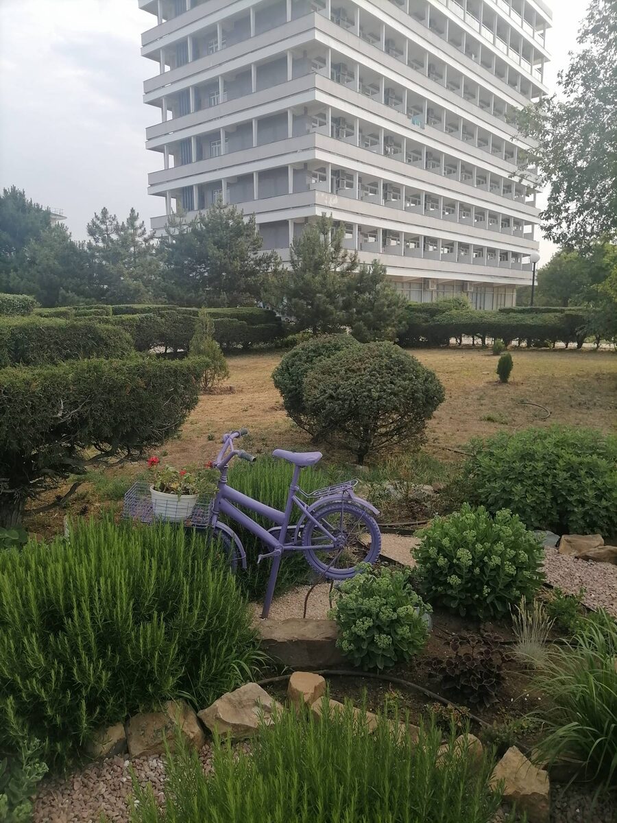 территория санатория