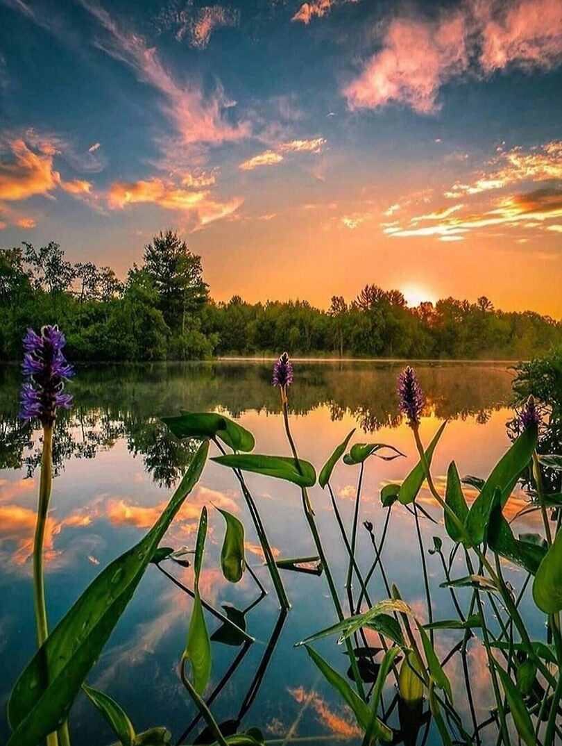 Фото из открытого источника в интернете.