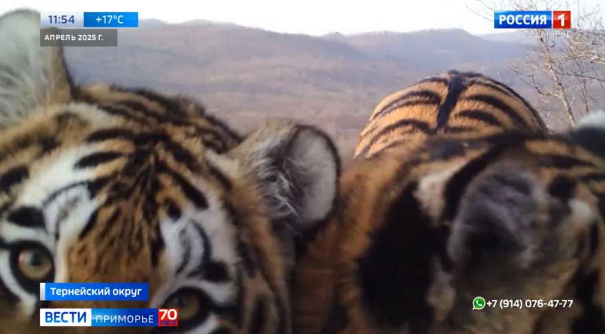    Источник фото: