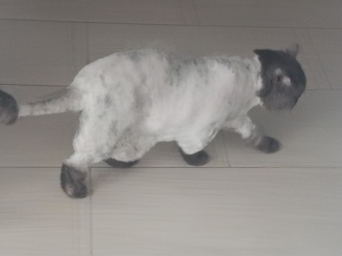 Стремительная наша. Не успеваю даже сфоткать 🤣🤣🤣