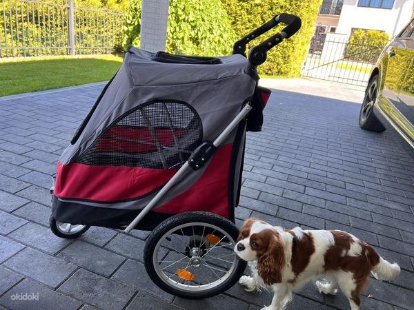 Примерно в такх тележках привозили собак.