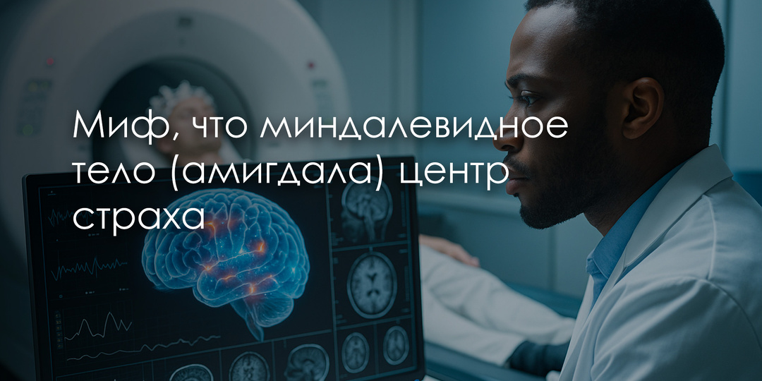 Миф, что миндалевидное тело (амигдала) центр страха