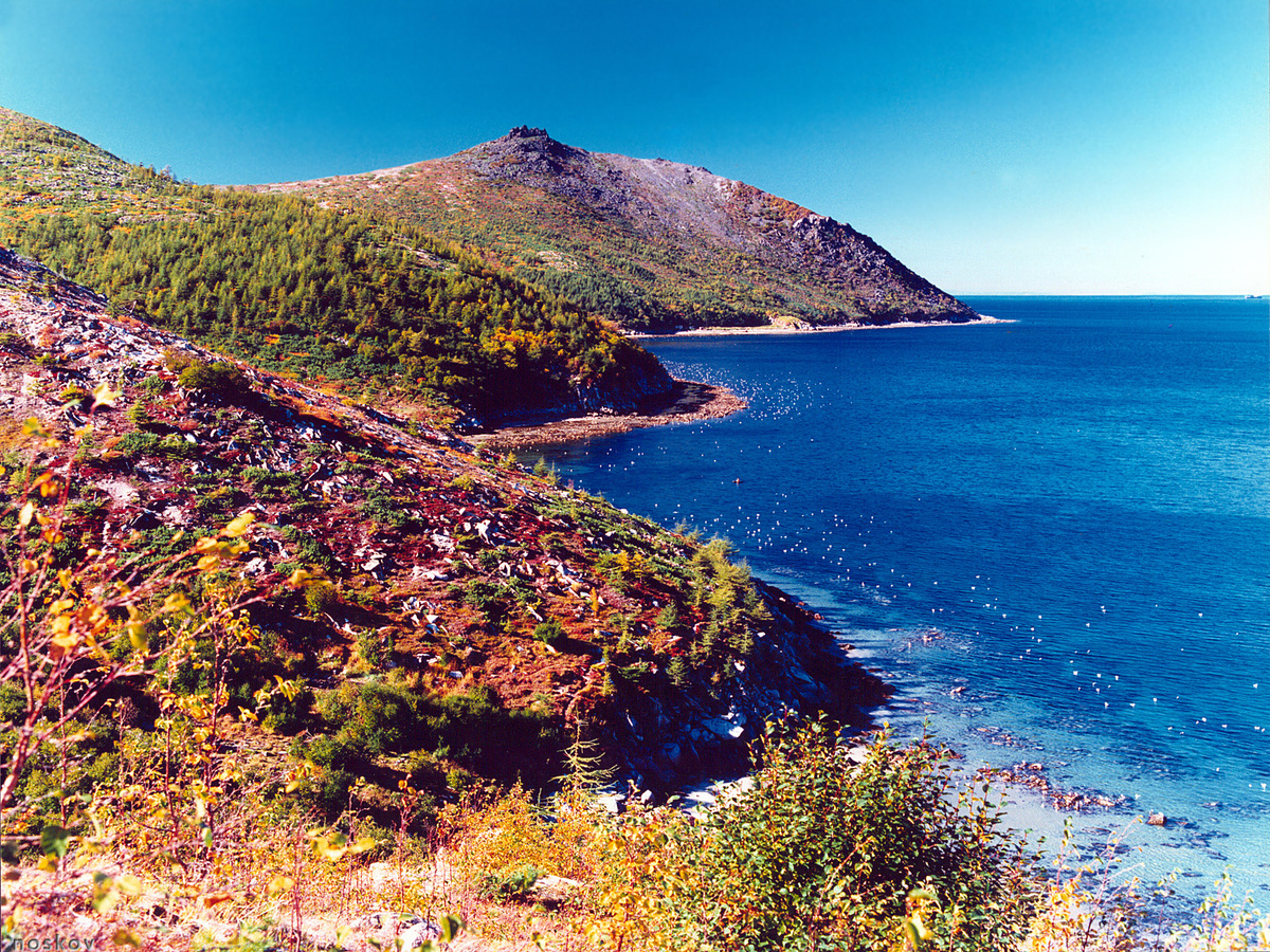 Фото из интернета.