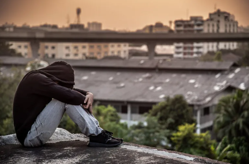 Яндекс картинки