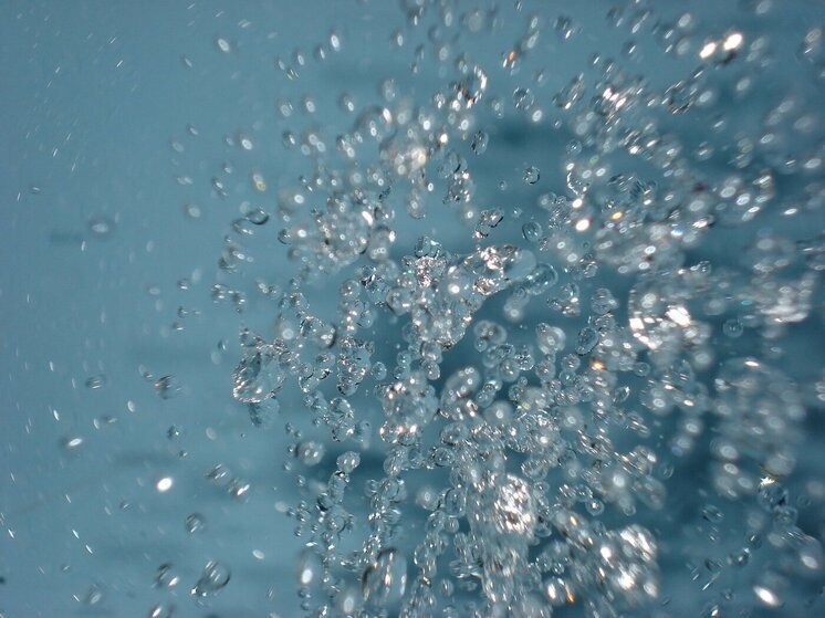     freeimages.com