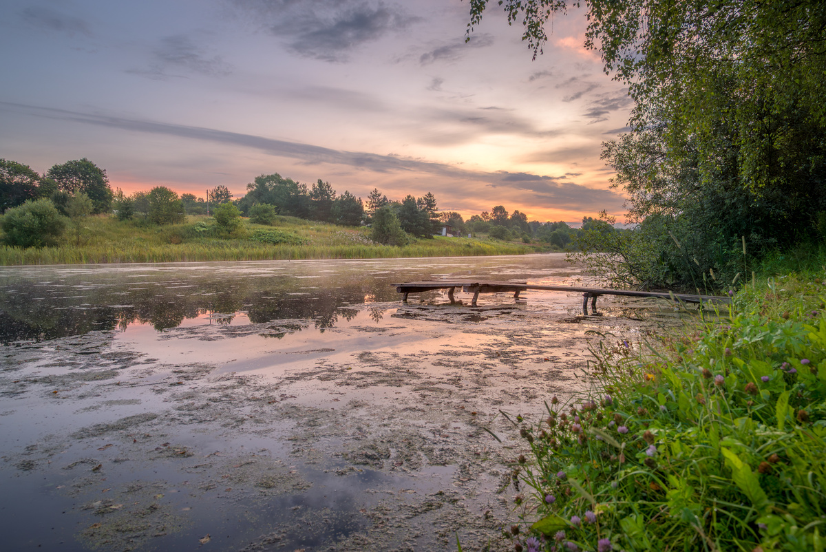 Утром на пруду