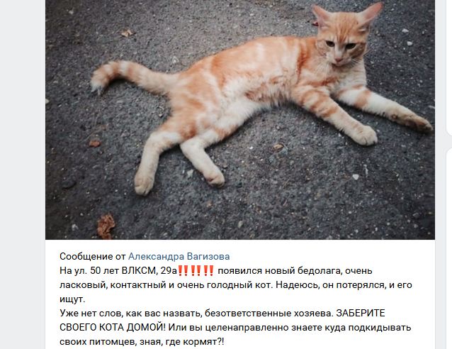 Это  объявление как крик души