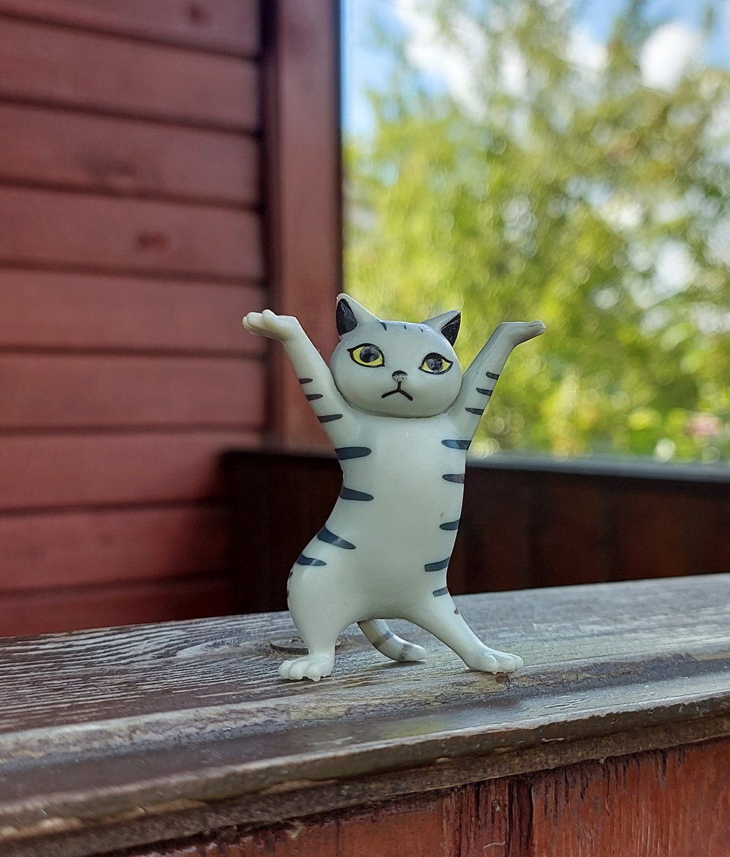 Кот Филимон. Фото автора канала