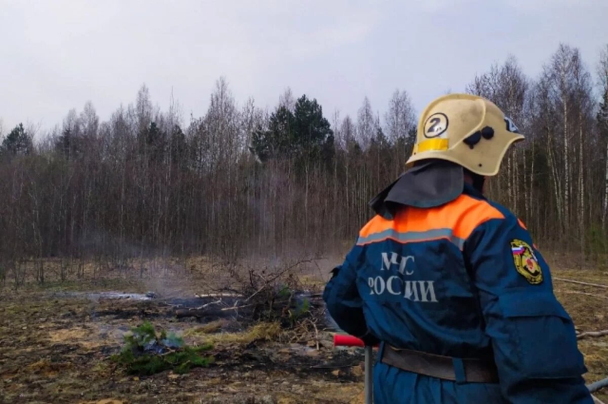    За сутки в Новосибирской области устранили последствия 3 ДТП