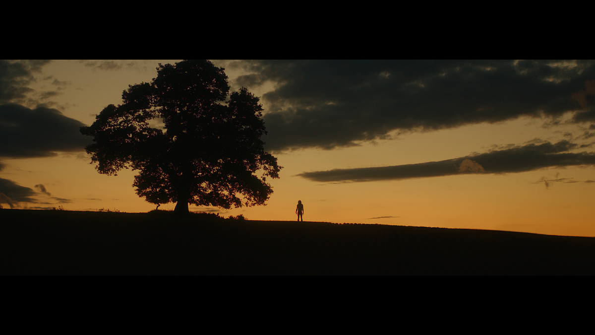 Кадр из фильма 28 лет спустя (2025)