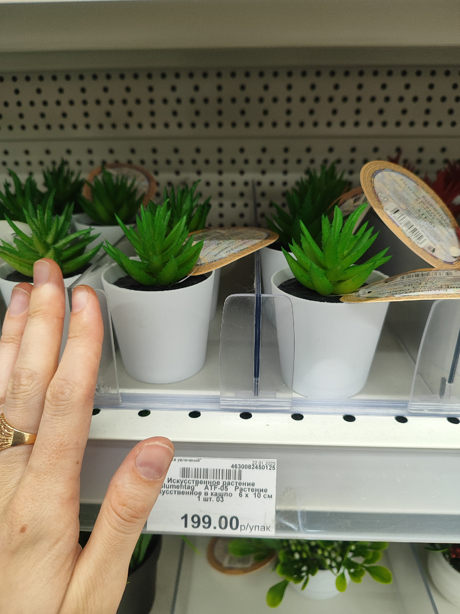 Товары для творчества в магазине "Леонардо". Фото автора.