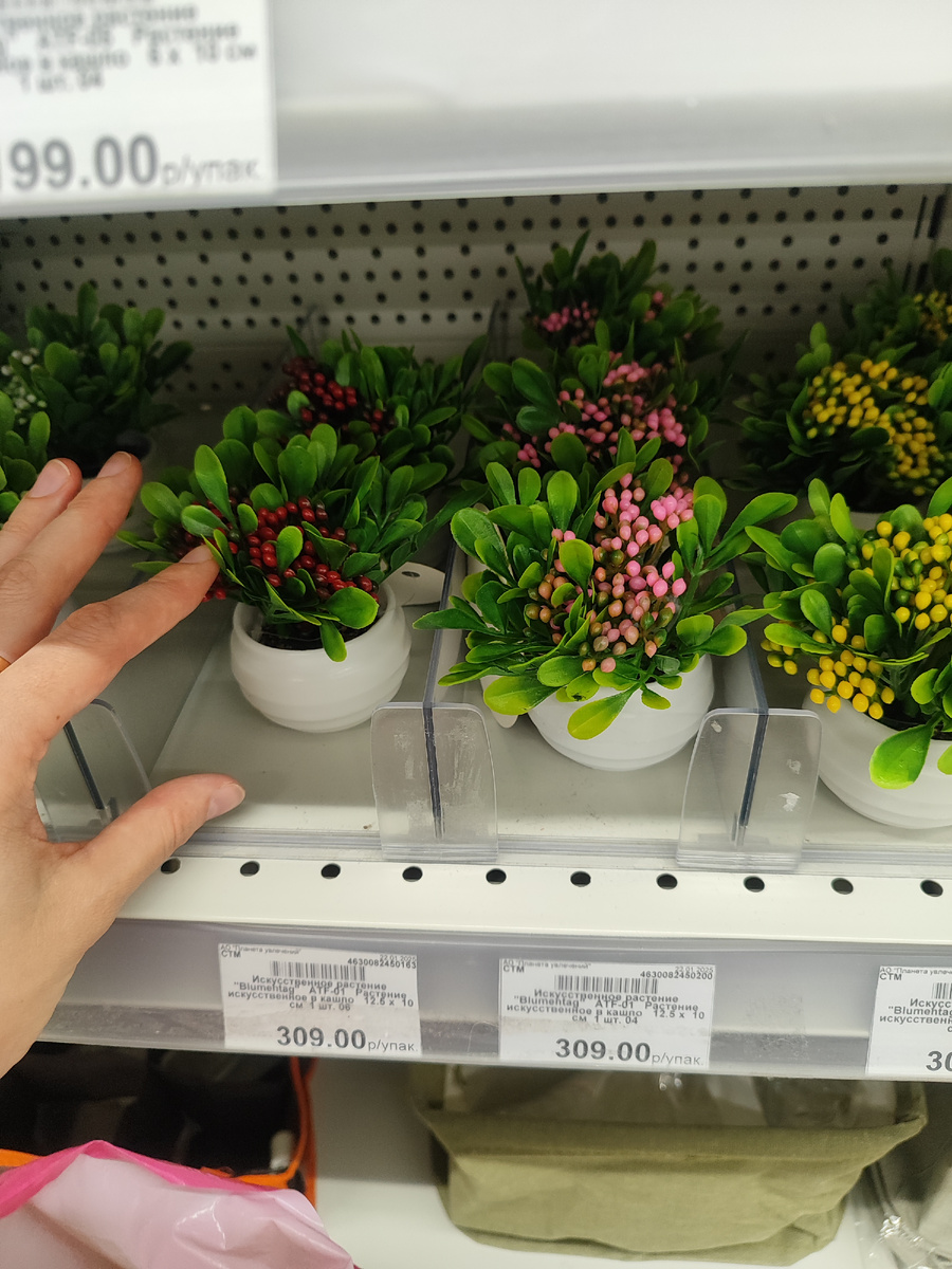 Товары для творчества в магазине "Леонардо". Фото автора.