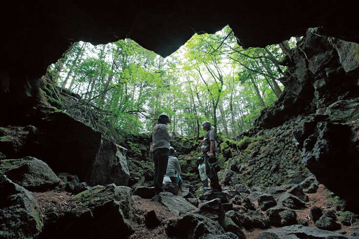 Пещера, лес Аокигахара