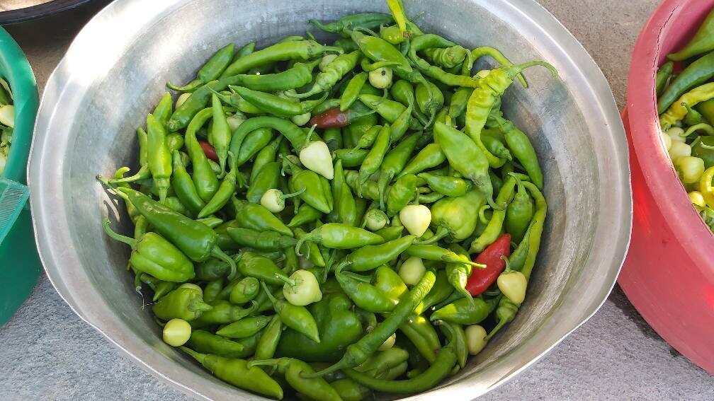 Сорта перца мне не известны, тут несколько видов. У них там название по-своему.