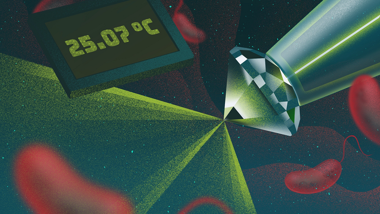 Наночастицы алмаза позволяют локально измерять и контролировать температуру клетки.