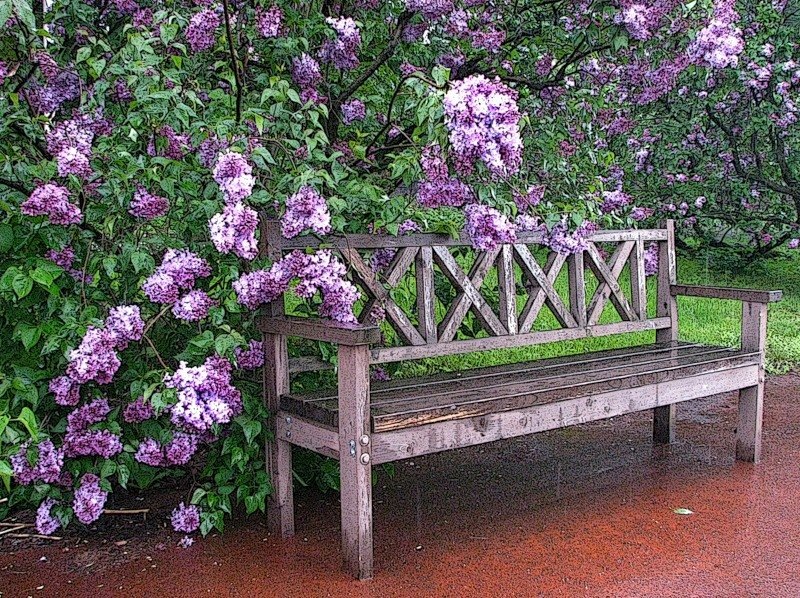 семейная жизнь её не удалась