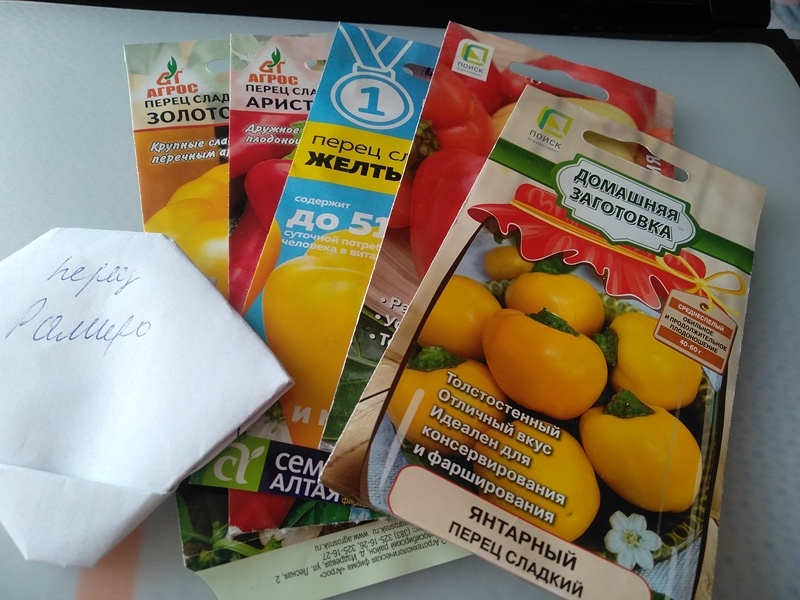 Шесть разных сортов сладкого перца для выращивания в закрытом грунте