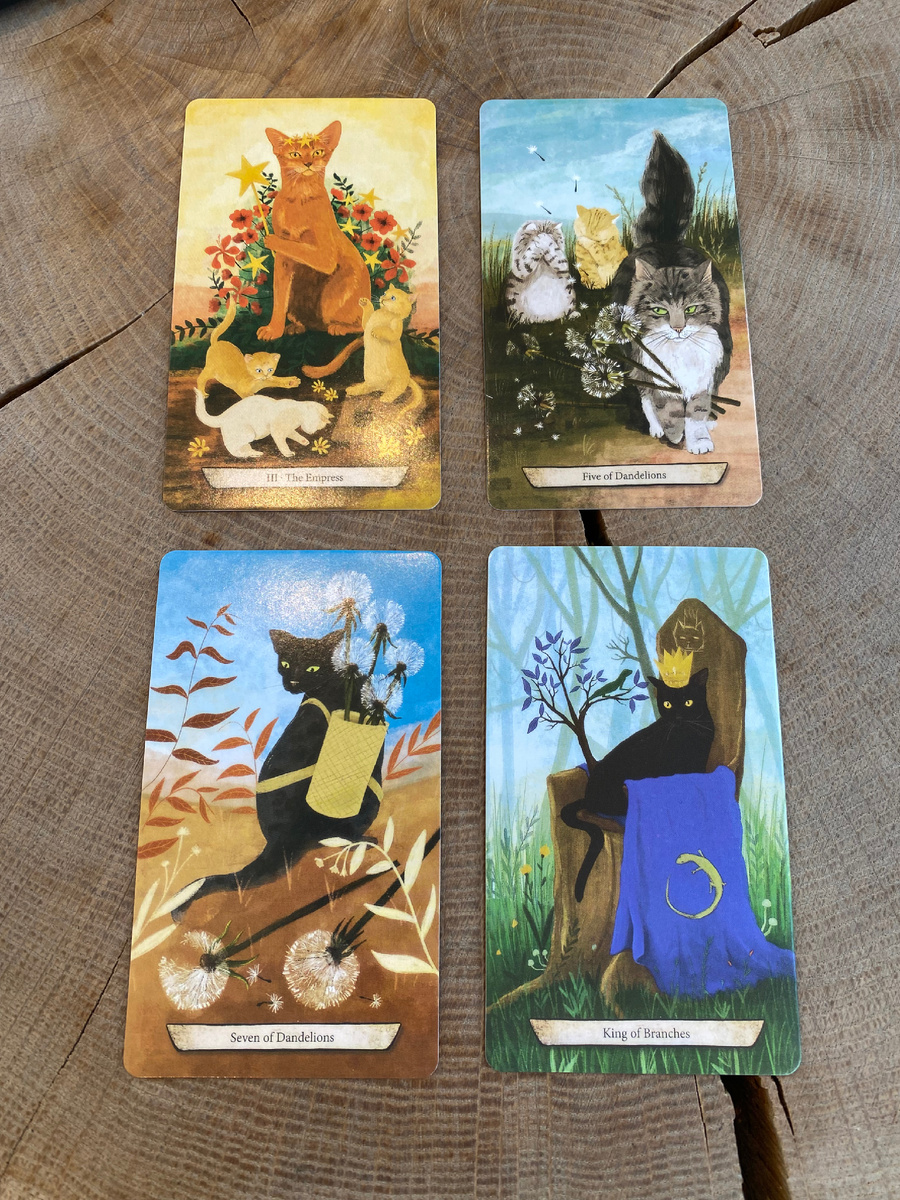 Карты таро Enchanted forest felines tarot