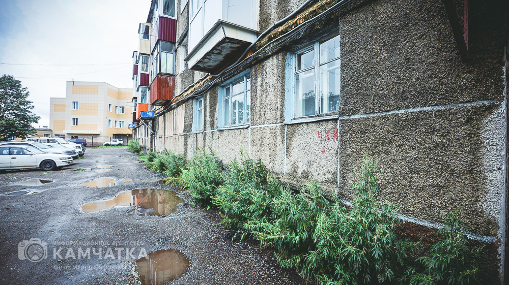 Фото: Сейсмоопасный дом в Петропавловске-Камчатском / Игорь Сафончик / ИА «Камчатка»