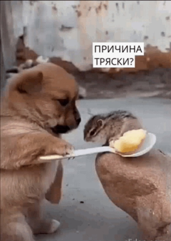 - Ты что, перенервничала?) (Лев Давидович)