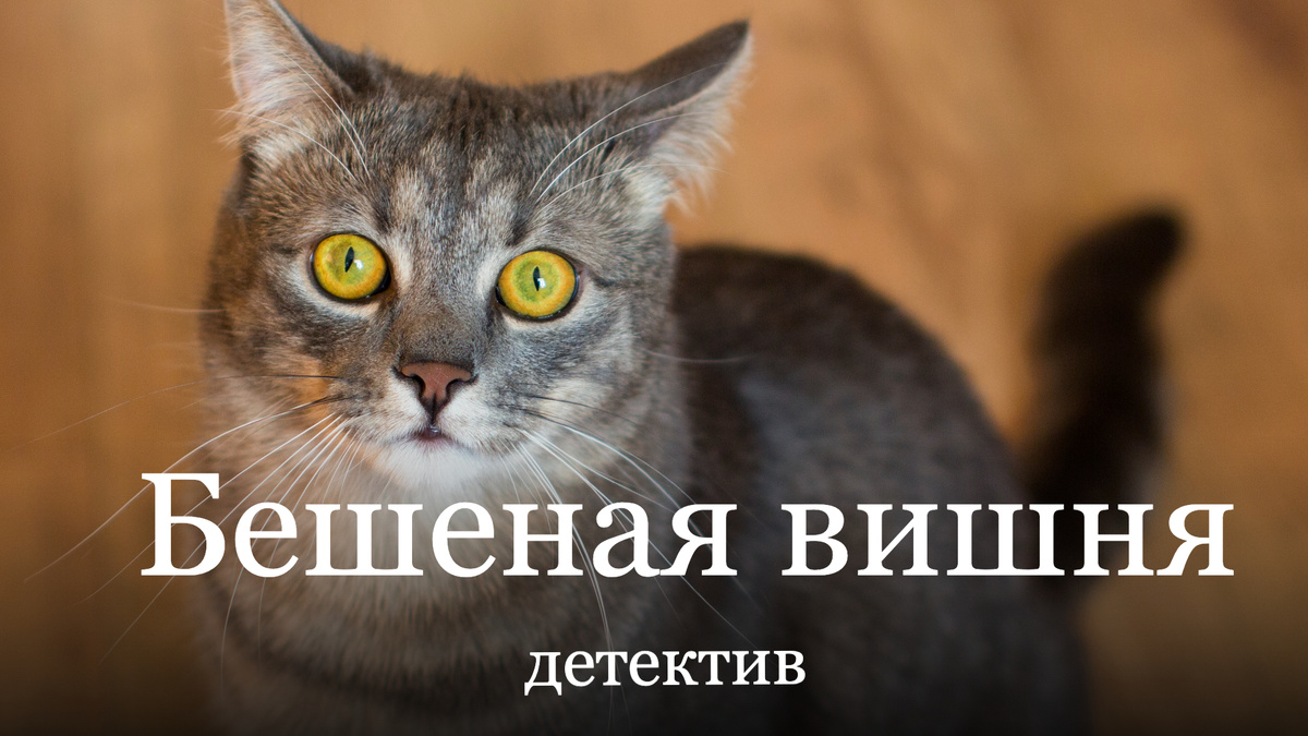 Изображение от freepik