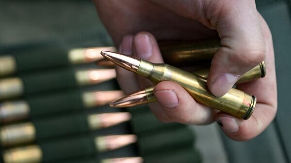    © Sputnik / Станислав Красильников