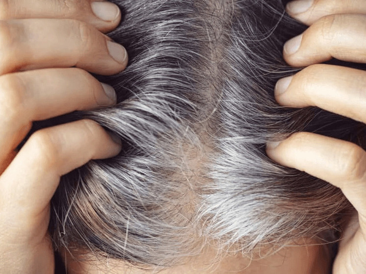 Фото для примера 