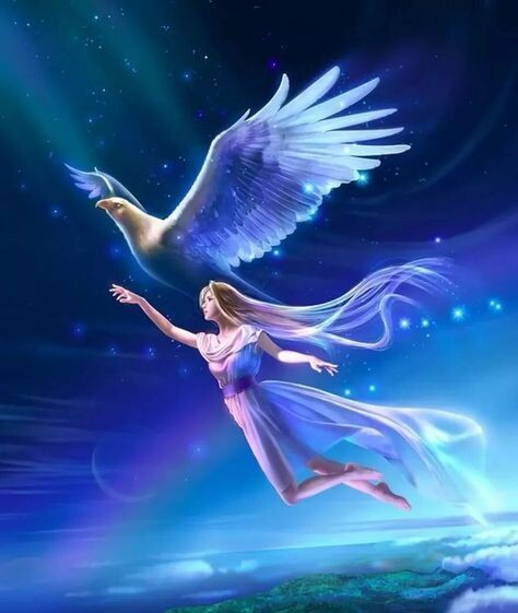 из открытого источника