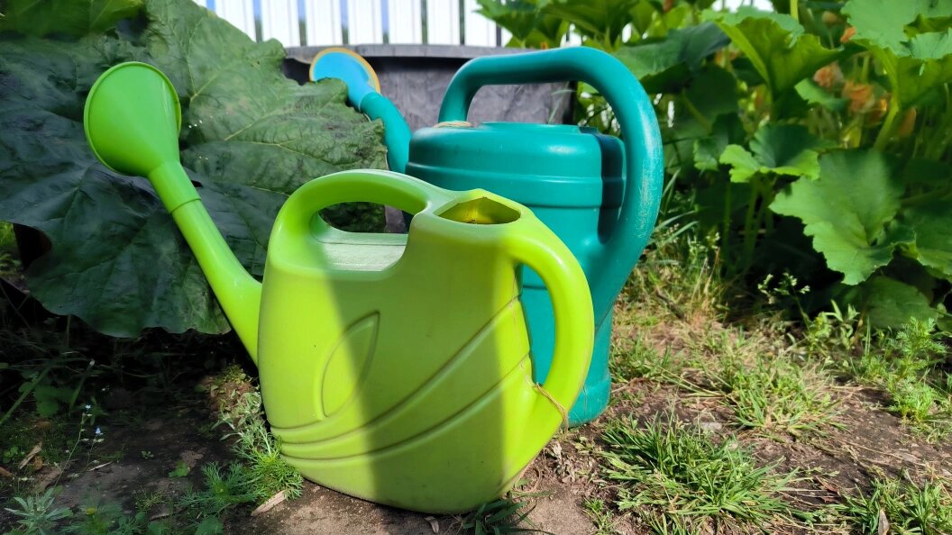    Maksim Konstantinov/Globallookpress