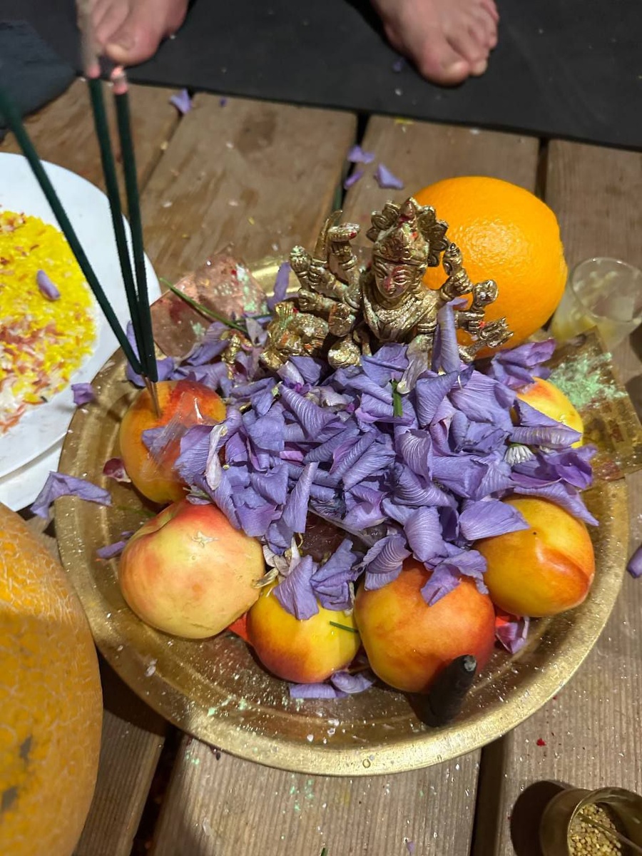 Цветы для пуджи собирали каждый день прямо в поселке и на прогулках.