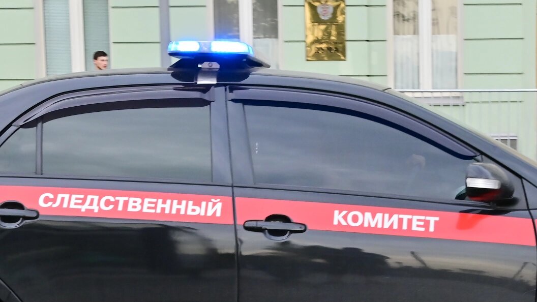    Фото: Vladimir Baranov/Globallookpress