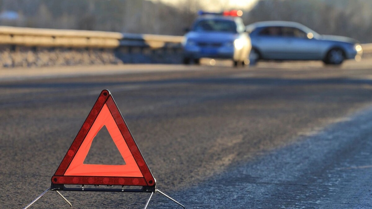    Фото: Matveychuk Anatoliy/Shutterstock/Fotodom