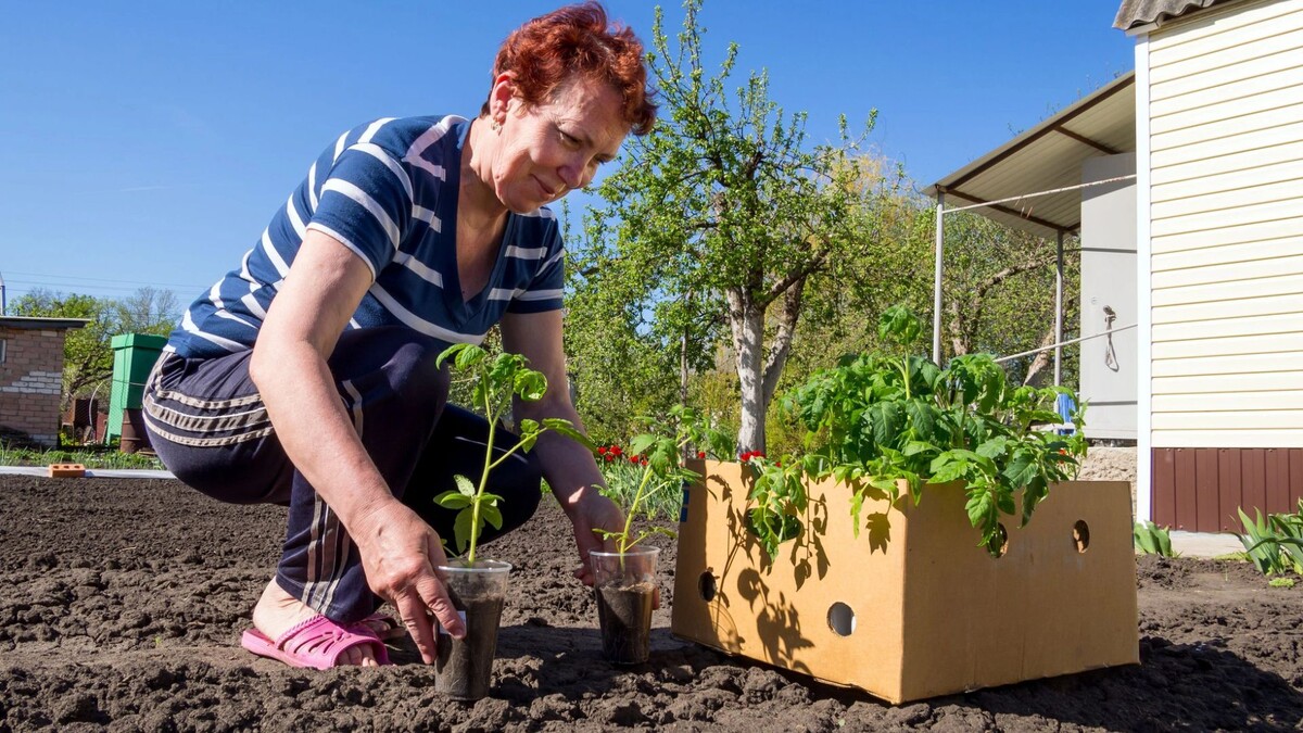    Фото: VPales/Shutterstock/Fotodom