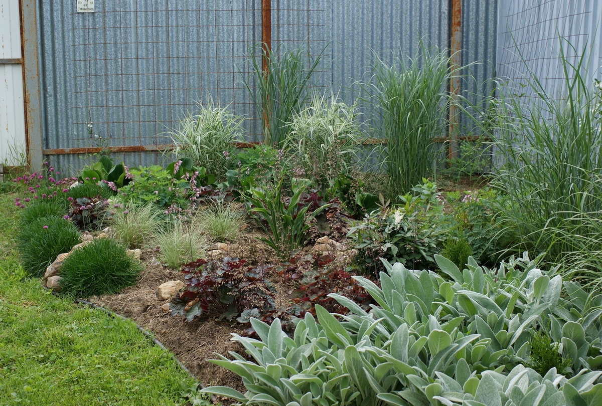 Цветник в июле. Августовское фото для сравнения ниже. 