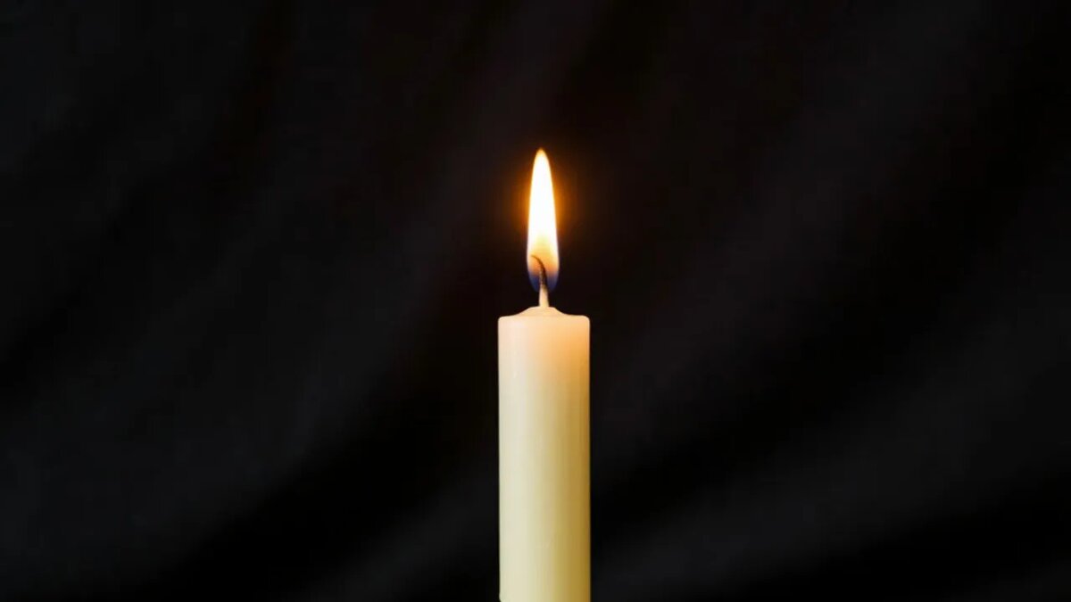    Сгенерировано ИИ