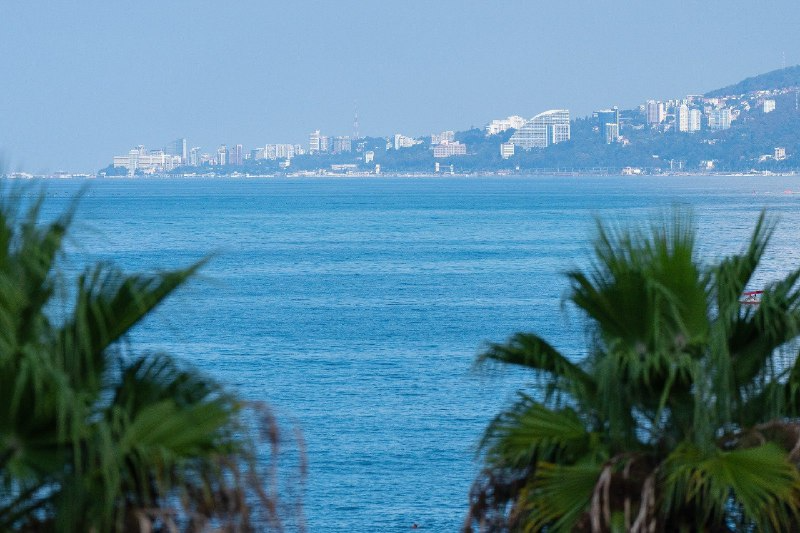    Фото: пресс-служба администрации города Сочи