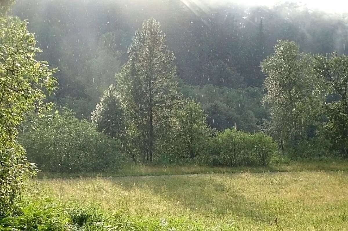    Дожди и грозы надвигаются на Средний Урал