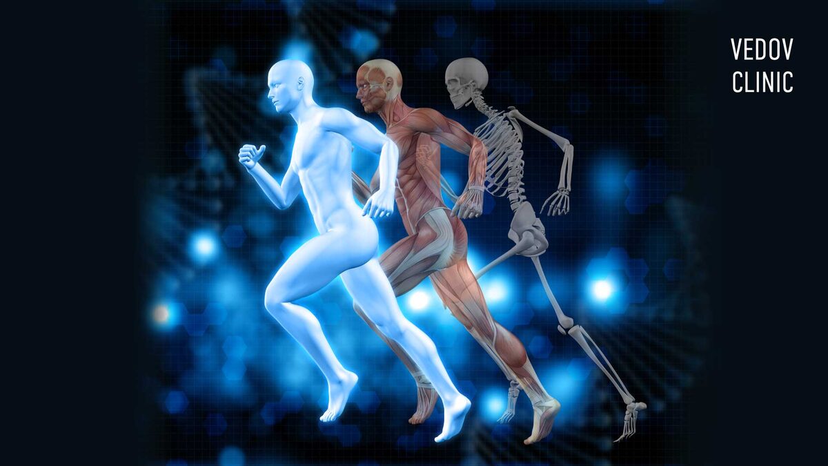 Мышци и суставы