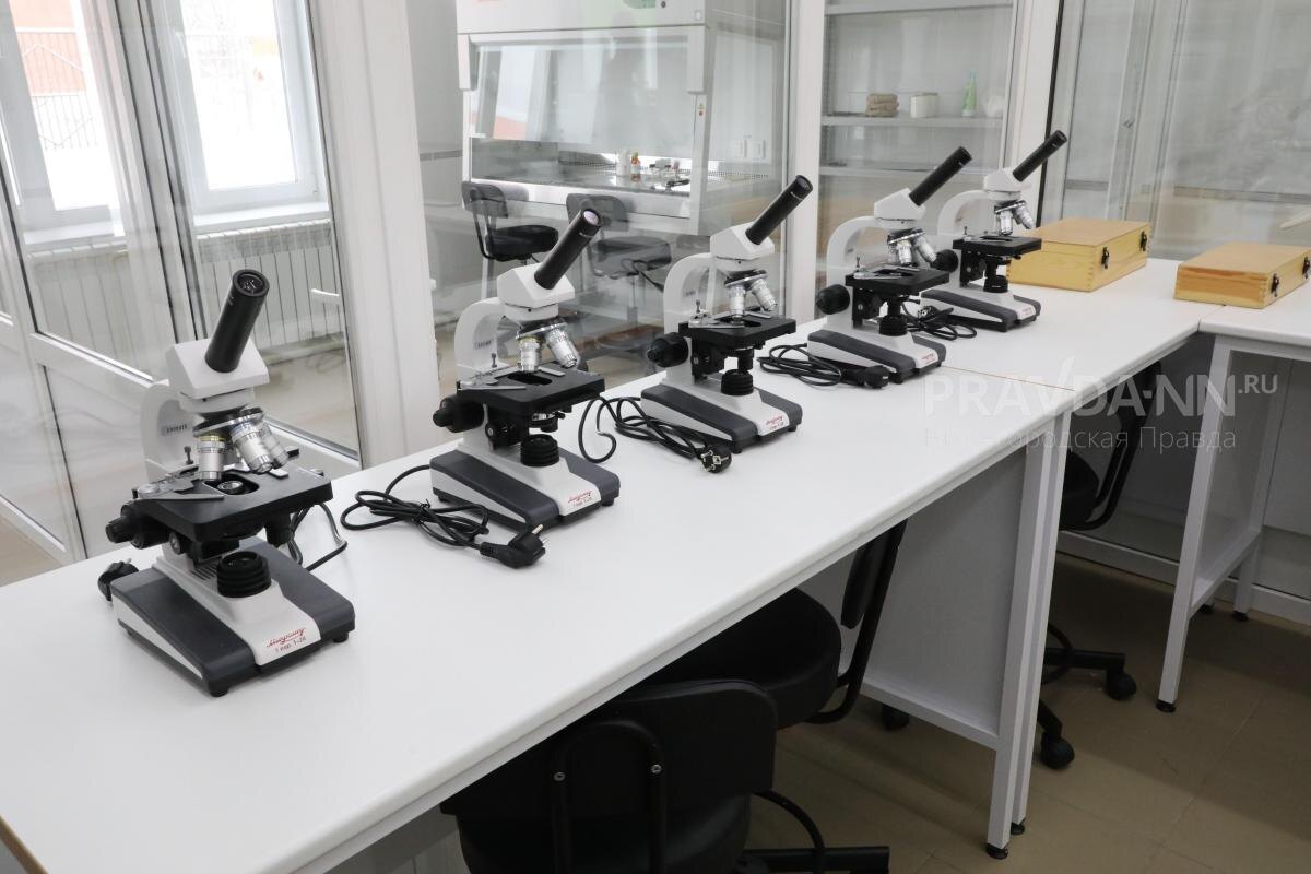    Исследование поможет создать новые методы ранней диагностики нейропсихических расстройств