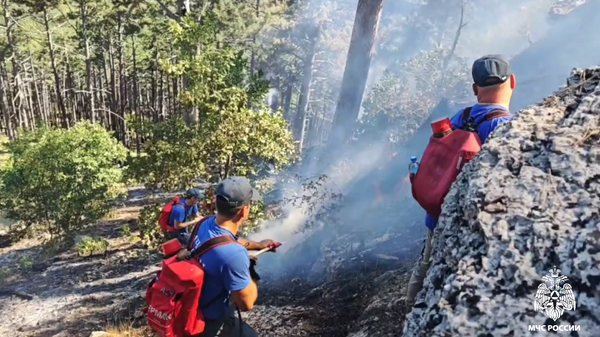    © ГУ МЧС России по Республике Крым