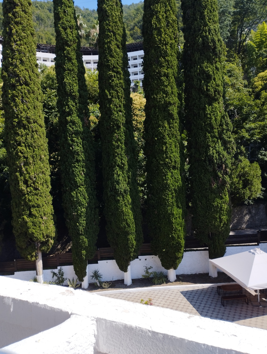 Вид с балкона на заброшенный санаторий Скала .