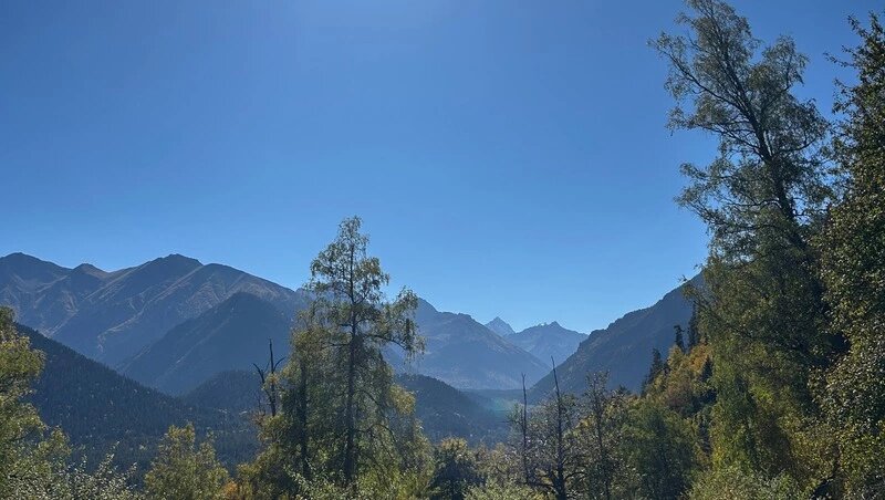      Фото: ИА «Победа26»