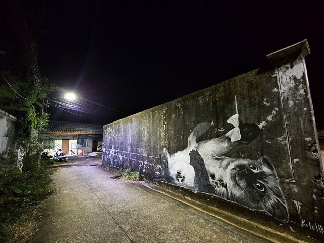 Тверская уличная художница нарисовала большого кота на стене в Таиланде.